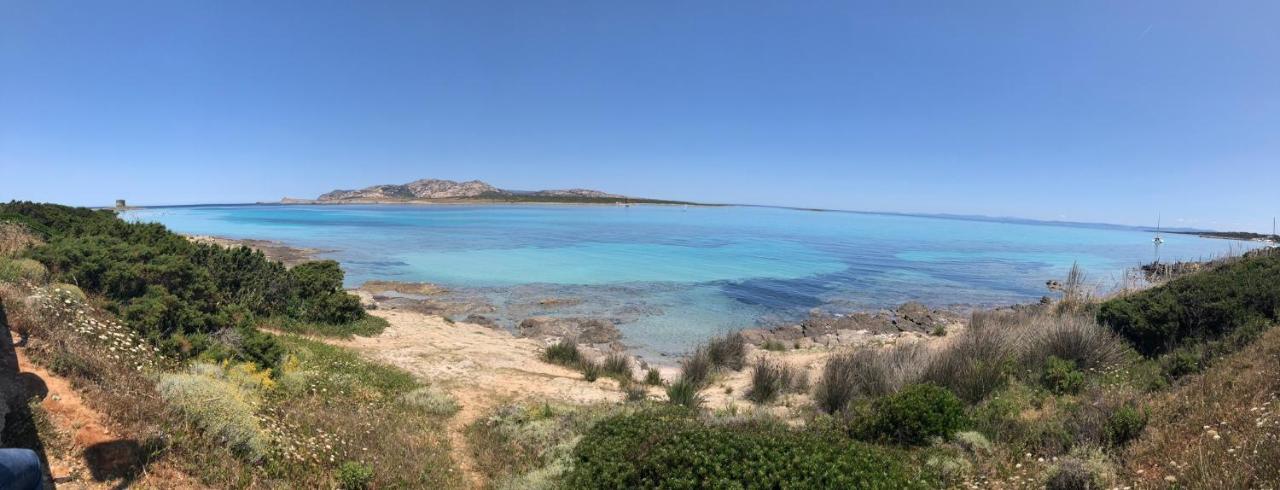 Rosaspe Stintino Apartment Cuile Ezi Mannu Luaran gambar